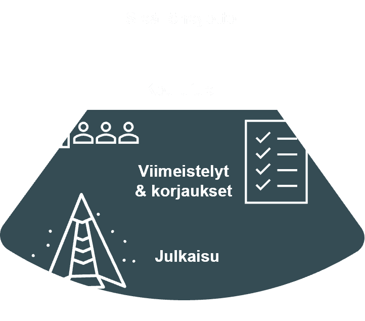 Kayttoonotto-ja-julkaisu-1